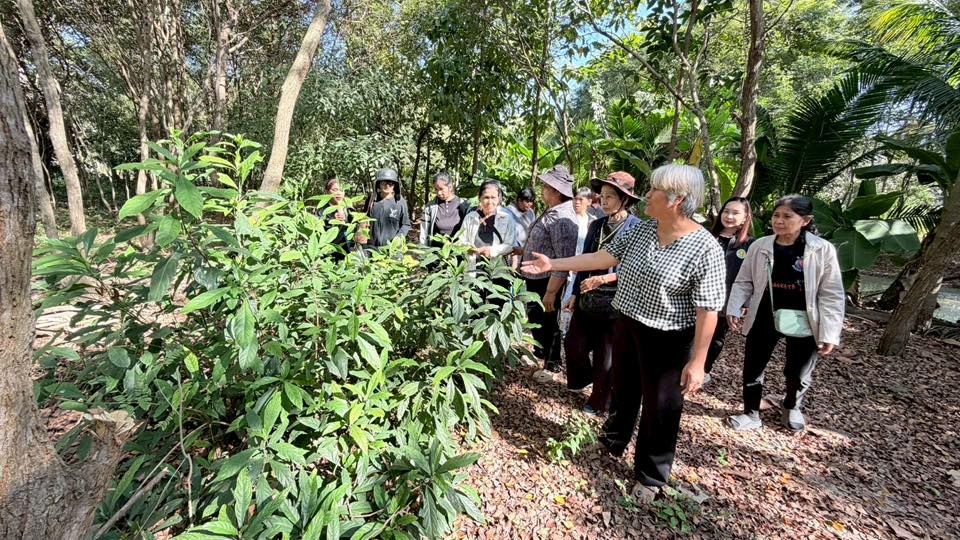 title - ส.ป.ก.อ่างทอง จัดอบรมโครงการยกระดับศักยภาพการพัฒนาสินค้าเกษตรชีวภาพ กิจกรรมยกระดับศักยภาพการเกษตรชีวภาพ ปีงบประมาณ พ.ศ. 2569 หลักสูตร “การเพิ่มประสิทธิภาพการผลิตพืชสมุนไพรในเขตปฏิรูปที่ดิน“